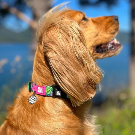 MAX & MOLLY Smart ID Tropical, dog collar, adjustable, polyester, multicolor green, trident buckle, M(34-55 x 2cm)