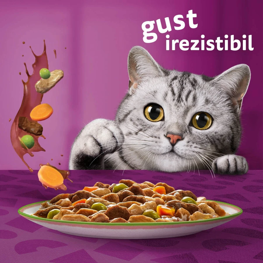 WHISKAS Tasty Mix Chef's Choice, Zalm, Rund, Kip & Gevogelte, Kip & Kalkoen, Kip & Kabeljauw, zakje nat kattenvoer, (in saus), multipack, 85g x 12