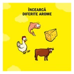 DREAMIES, Somon și Brânză, punguță recompense pisici, 60g