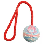 TRIXIE, Ballspielzeug gefüllt mit Schnurhunden, Gummi, 6cm x 30cm, multicolor