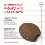 ROYAL CANIN Immunity & Digestion Chews Puppy Supplements, funkcjonalna saszetka z nagrodami dla młodszych psów, układ odpornościowy, układ trawienny, 100g: ceny i cechy