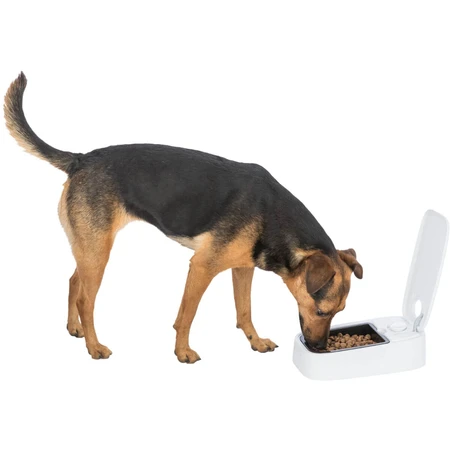 TRIXIE TX1, Futterautomat für Hunde, 1 rechteckiger Napf, programmierbar, mit Kühlung, Kunststoff, weiß, S-L(0,3l, 24x7cm)