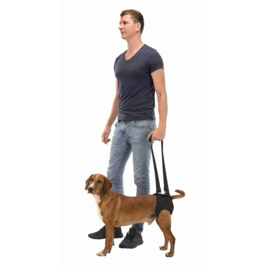 TRIXIE loophulp, M, revalidatietuig voor honden, neopreen, ⌀ 55 - 65cm