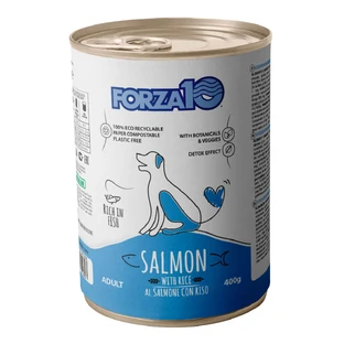FORZA10 Maintenance, XS-XL, Łosoś i ryż, mokra karma w puszce dla psów, (pasztet), 400g