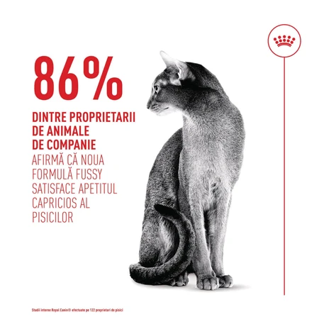 ROYAL CANIN Feline Health Nutrition Fussy, sucha karma dla kotów z wybrednym apetytem, 400g: ceny i cechy