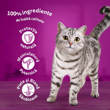 WHISKAS 1+ Poultry Feasts Selections, Poultry, sachet wet cat food, (in aspic), multipack, 85g x 12