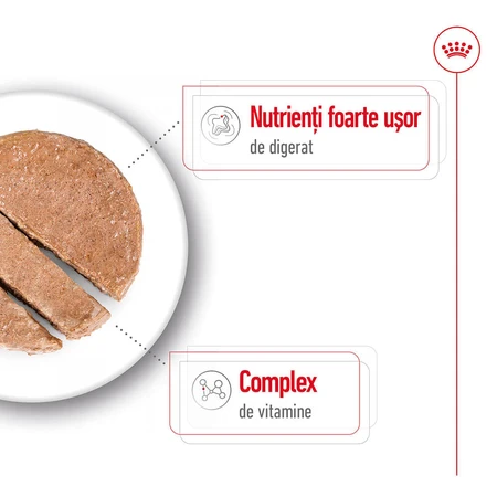 ROYAL CANIN Mini Adult Nassfutter für Hunde (Pastete), 195g