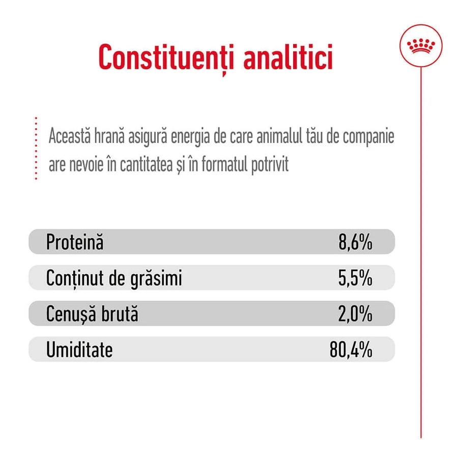 ROYAL CANIN Mini Adult Nassfutter für Hunde (Pastete), 195g