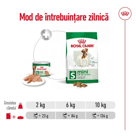 ROYAL CANIN Mini Adult Nassfutter für Hunde (Pastete), 195g