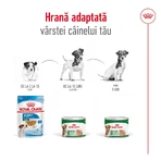 ROYAL CANIN Mini Adult Nassfutter für Hunde (Pastete), 195g