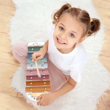 Children's musical instrument Metalofon, Speedy Monkey
