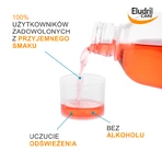 Zestaw Eludril Care, płyn do codziennej higieny jamy ustnej, 500 ml + Elgydium Anti Plaque, pasta do zębów, 75 ml: ceny i cechy