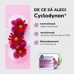 Cyclodynon, 30 Filmtabletten, Bionorica
