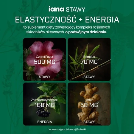 Iana Joint Flexibility + Energy, tablets, 60 pcs.