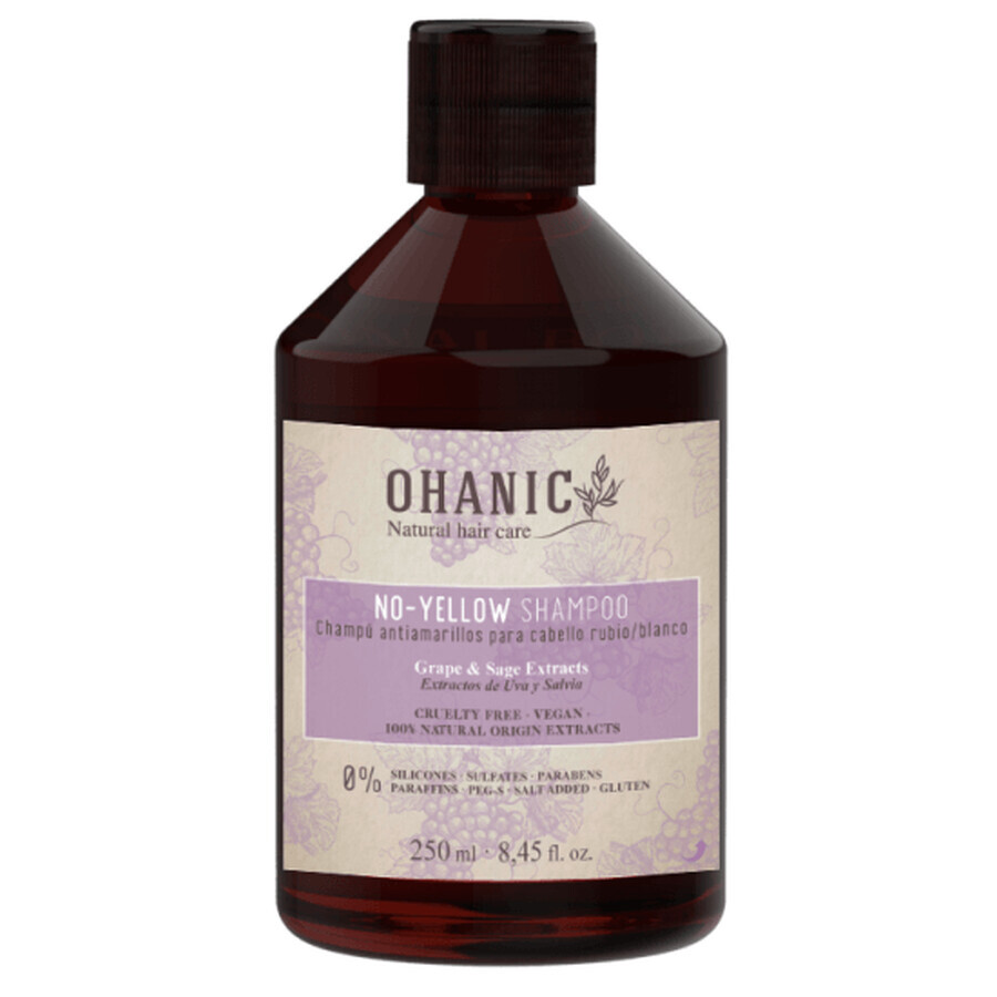 Shampoo for blonde hair maintenance, 250 ml, Ohanic