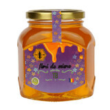 Lime honey, 500 g, Beekeeping Institute