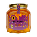 Polyfloral honey, 500 g, Beekeeping Institute