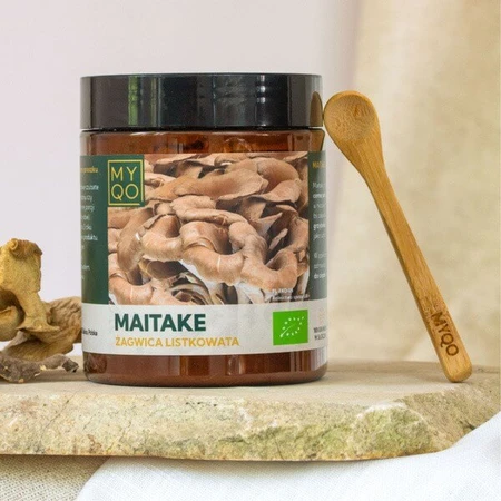 MYQO BIO Maitake Sailwort, poudre, 100 g