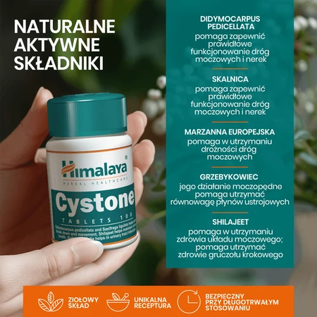 Set van 2 x Himalaya Cystone, tabletten, 100 stuks.