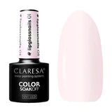 Claresa, Hybrid-Lack, #lipglossnails 01, 5 g