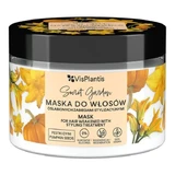 Vis Plantis, mascarilla para cabellos debilitados por tratamientos de styling, semillas de calabaza, trigo y avena, 300 ml