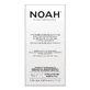 Noah, haarbehandeling voor gevoelige hoofdhuid met neiging tot roos met IJslands korstmos en toverhazelaar, 8 x 5 ml