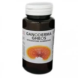 GANODERMA GHEOS 90 CAPSULES 540 MG