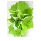 Perilla Foglie Taglio Tisana 100 Gr
