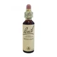 Bach Centre Essence Wild Oat 20ml