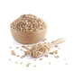 Pearl Barley Seeds (caryopses) 100 Gr