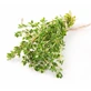 Tijm Vulgaris Bladeren 100 Gr