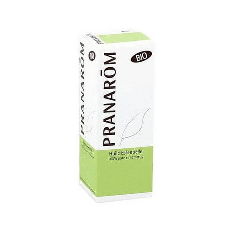 PRANAROM OE Mint Pip.10ml