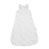 Sac de Dormit Ergobaby Silver Moons mic (0-6 luni)