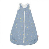 Sac de Dormit Ergobaby Clasic Stellar 0-6 luni, 1 Tog