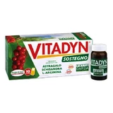 Vitadyn Support 10 Vials 10ml