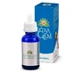ExtraGem Pino Marítimo Sarandrea 20ml