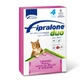 FIPRALONE DUO CAT 4 PIP PINK