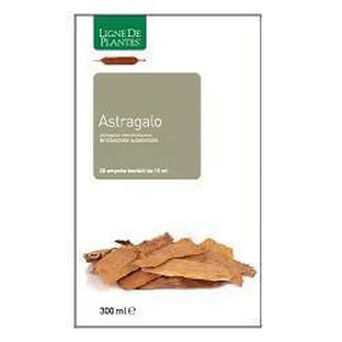 ASTRAGALUS 20SPRINGS 15ML