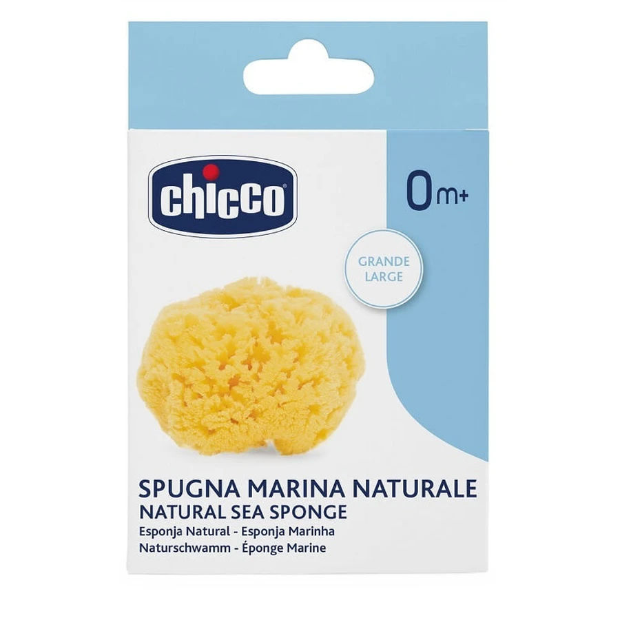 Ch Esponja Grande Higiene Segura