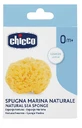 Ch Esponja Grande Higiene Segura