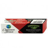 Balsam de buze nuantator Hyal'thaea Cinnamon Brown 4.8 g