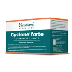 Cystone Forte, 60 filmomhulde tabletten, Himalaya