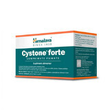 Cystone Forte, 60 film-coated tablets, Himalaya