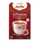 Paquete de té ecológico de apoyo inmunitario + té ecológico de equinácea, 17 bolsitas + 17 bolsitas, Yogi Tea