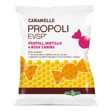 Propolis Evsp Veenbes Propolis Snoepjes