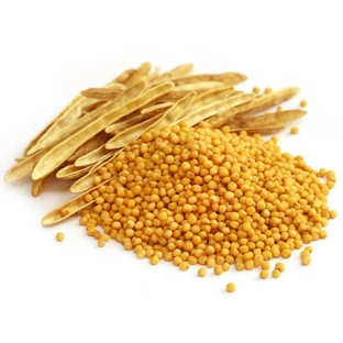 Yellow Mustard Seeds Whole 100 Gr