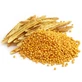 Yellow Mustard Seeds Whole 100 Gr