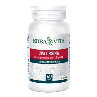 Berendruif 60 Capsules Erbavita