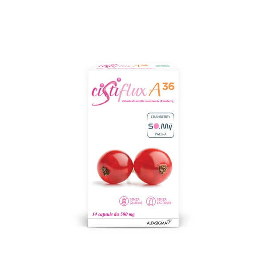 Zystiflux A-36 14 Kapseln