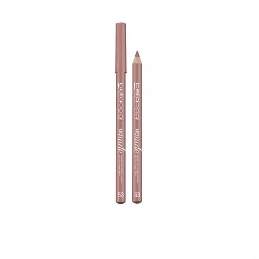 BEAUTIFUL TODAY LIPLINER LIPPOTLOOD 53